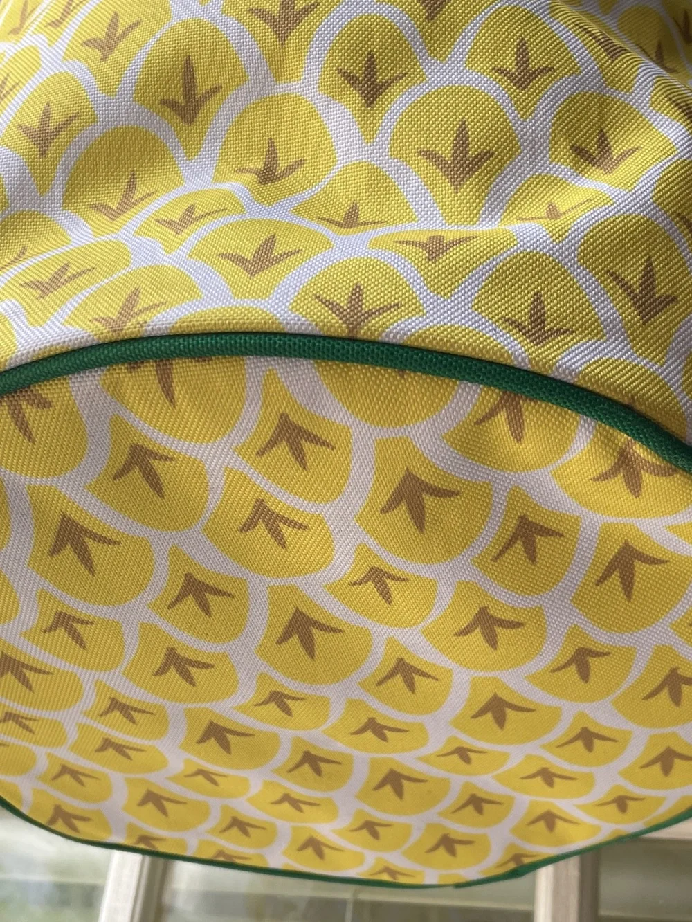 Paper Source Pineapple Cooler-NWT